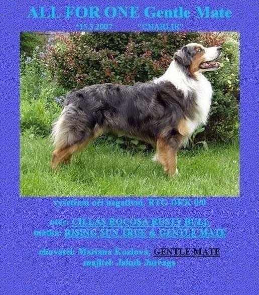 gentle-mate_03---516.jpg