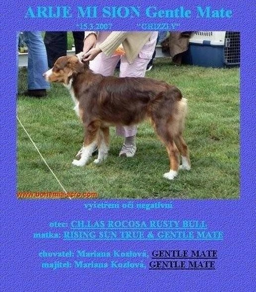 gentle-mate_04---516.jpg