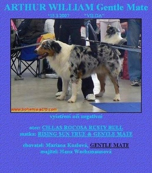 gentle-mate_05---516.jpg